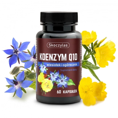 Suplement diety - KOENZYM Q10 wiesiołek, ogórecznik | Marek Skoczylas